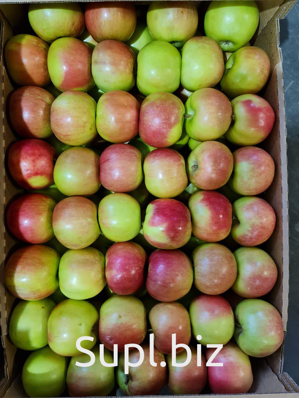 Продажа яблоки оптом