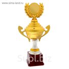 Кубок спортивный 100 А
