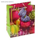 Пакет подарочный "Мишка на шаре", 36 х 26 х 11.5 см, Me to you