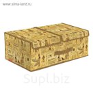 Короб 2-х секционный 50х30х20 см