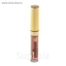 Блеск для губ Vivienne Sabo Brillance Hypnotique 3D Effect, тон 49, 8 мл