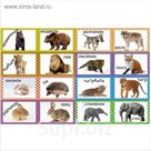 Набор магнитов "Мамы и детёныши. Часть 2" 16 шт., 5,2 × 7,8 см
