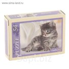 Пазл "Котята", 54 элемента, МИКС