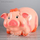 Копилка "Поросёнок Пончик" большая, глянец