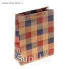 Пакет крафт "Клетка", 15 х 6 х 20 см