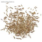 Семена Овсянница Луговая, 25 кг