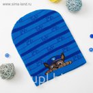 Шапка детская Paw Patrol "Гончик" размер 54, хл 65%, пэ 28%, эл 2%
