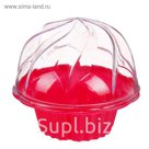 Контейнер для пирожного с крышкой 70 мл, 9,5х9 см, цвета МИКС