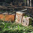 Упаковка из кедра для Вашей фитопродукции оптом от 62 руб./шт. | kedrsuvenir.ru | 8 (923) 800 08 83