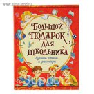 Большой подарок для школьника