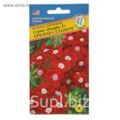 Семена Вербена "Кварц" Красная с глазком F1, О, 10 шт