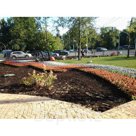 Посадка цветов