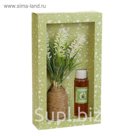 Подарочный набор с аромомаслом 30 мл "Прованс", аромат сандал