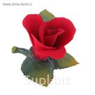 Декоративная роза "Little Rose"