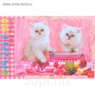 Пазлы "Белые котята", 500 элементов