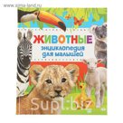 Энциклопедия животных для малышей