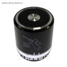 Портативная акустика Model-T2308, Bluetooth, USB, micro SD, FM, черная