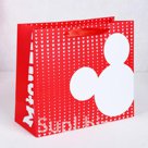 Пакет подарочный Mickey Микки Маус 23х27х11 5 см