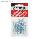 Винт DIN84 TUNDRA krep, с цилиндрической головкой, М6х30 мм, оцинкованный, 20 шт.