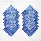 Платки носовые мужские "Этель" 30х30 см, (набор 12 шт.) цв. синий ситец, 100% хл