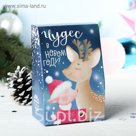 Кофе молотый "Чудес в новом году", 100 г СГ