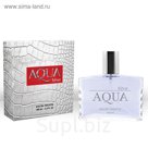 Туалетная вода мужская Aqua Silver, 100 мл