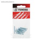 Винт DIN965 TUNDRA krep, с потайной головкой, М4х30 мм, оцинкованный, 12 шт.