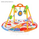 Развивающий коврик с игровой стойкой «Совушки», музыкальная игрушка