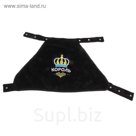 Мантия "Король", бархат, размер М (ДС 27 см, ОШ 18-36 см, ОГ 54-108 см)