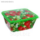 Контейнер пищевой 3 л