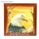 Аптечка "Орел"