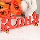 Деревянная заготовка "Соня"