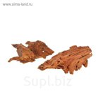 Корень мангрового дерева, натуральный (водная часть) 15-30 см mangr-s