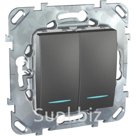 UNICAtop Переключатель двухклавишный с индикацией в рамку графит (MGU5.0303.12NZD)