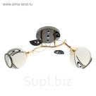 Спот настенно-потолочный поворотный "Бутон" 2 плафона
