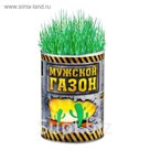 Растущая трава в консервной банке "Мужской газон", зеленая трава