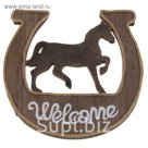 Декор дачный "Лошадь в подкове: Welcome" со светодиодами