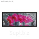 Картина "Розовые орхидеи"