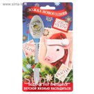 Ложка сувенирная "Счастья"