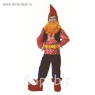 Карнавальный костюм "Гном Весельчак", бархат, р.32, рост 122 см