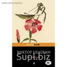Пэ в Пятой