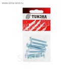 Винт DIN7985 TUNDRA krep, с полукруглой головкой, М6х40 мм, оцинкованный, 8 шт.