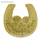 Подкова "Удачи в финансовых делах"