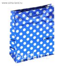 Пакет голографический "Горох на синем", 18 х 21,5 х 7 см