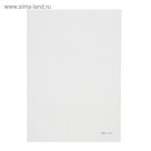 Папка-уголок А4 Erich Krause Clear Standard L-File New, прозрачная, вместимость 80 листов