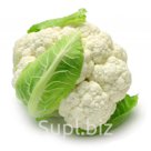 Капуста цветная свежая (от производителя)