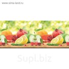 Фартук ХДФ № 380 "Фрукты" 2440х600х3 мм