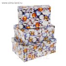 Набор коробок 3в1 "Много шаров", 19 х 12 х 7,5 - 15 х 10 х 5 см