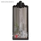 Зеркало в раме Corona № 5 Black, 700 × 75 × 1725 мм, цвет чёрный