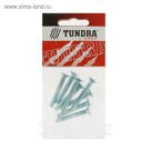 Винт DIN965 TUNDRA krep, с потайной головкой, оцинк. М6х40 мм, в пакете 8 шт.